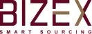 Bizex-Logo